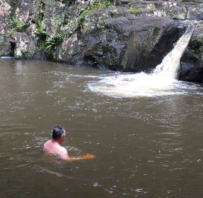 Springbrook National Park Walks and Gold Coast waterfalls