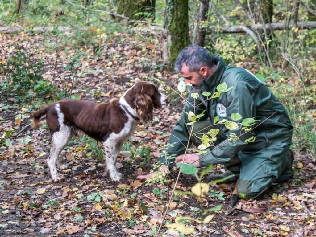 Off the beaten path Italy Exploring the Romagna Hills