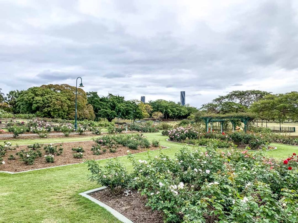 Brisbane walks: Walking tracks in inner city Brisbane